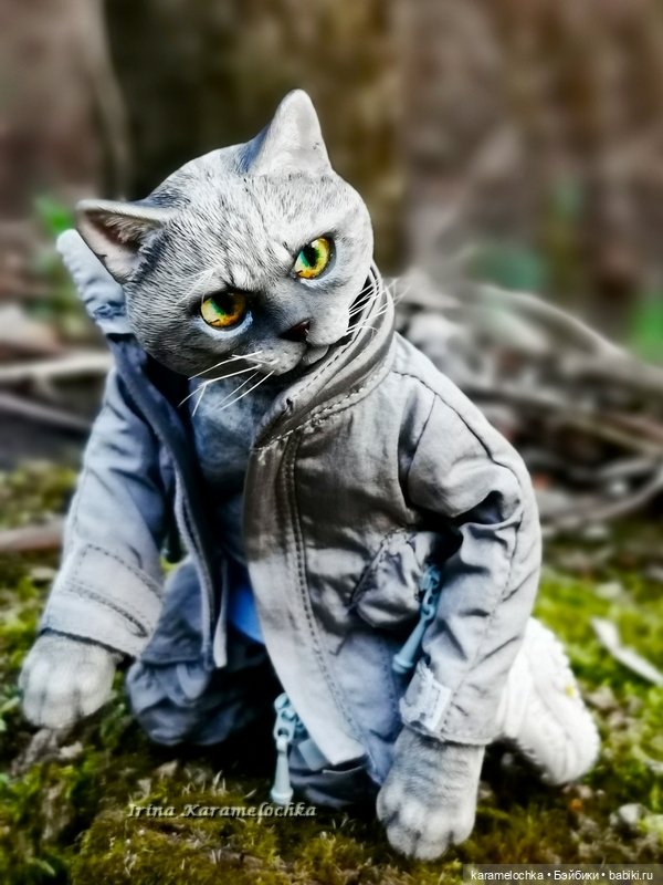 Котяра мартовский, апрельский, майский