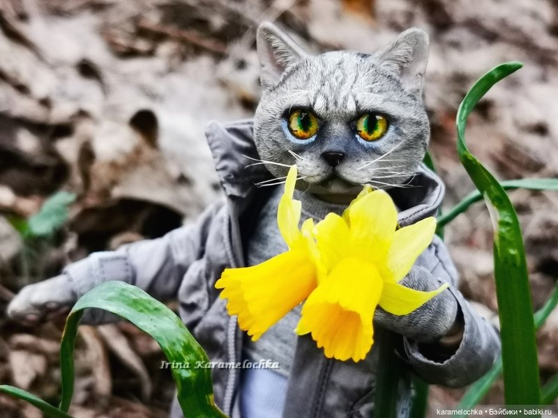 Котяра мартовский, апрельский, майский