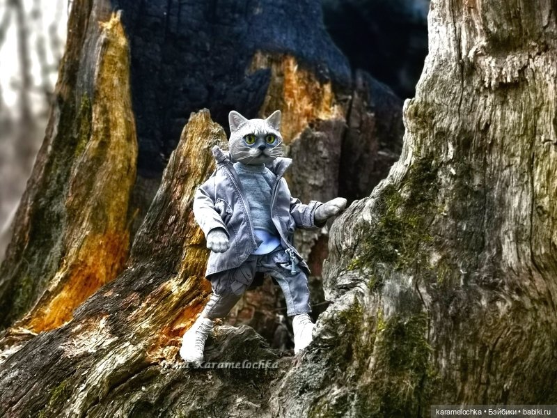 Котяра мартовский, апрельский, майский (фото 8)