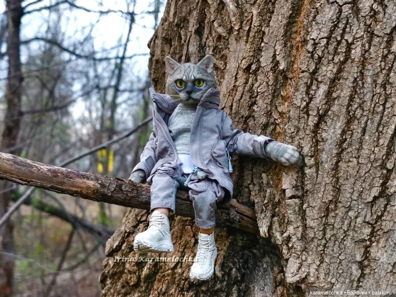 Котяра мартовский, апрельский, майский