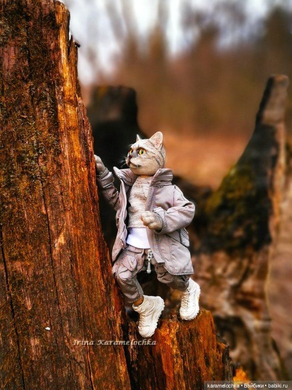 Котяра мартовский, апрельский, майский (фото 5)