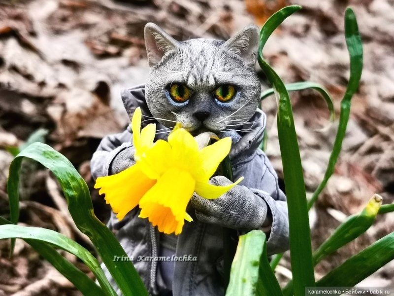 Котяра мартовский, апрельский, майский