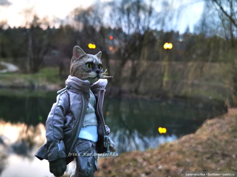 Котяра мартовский, апрельский, майский