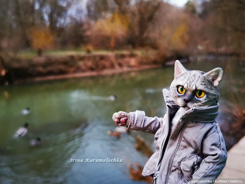 Котяра мартовский, апрельский, майский (фото 4)