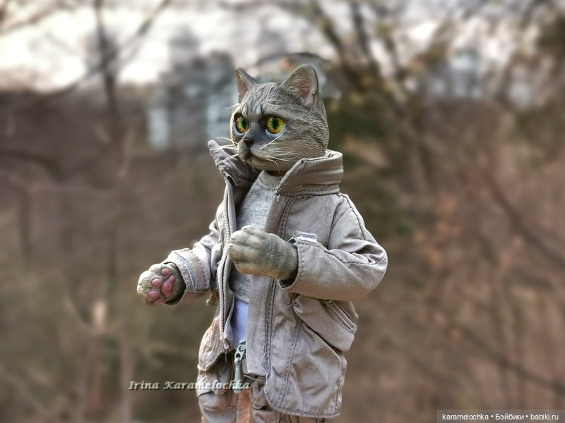 Котяра мартовский, апрельский, майский