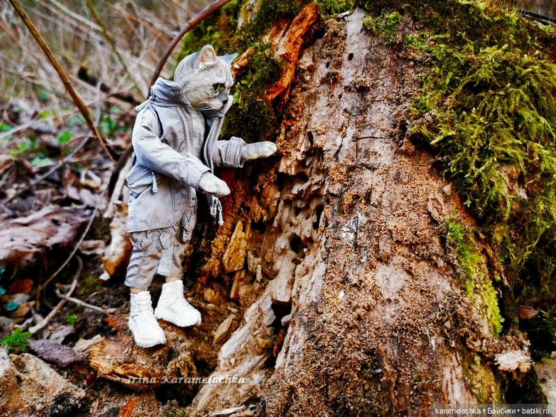 Котяра мартовский, апрельский, майский