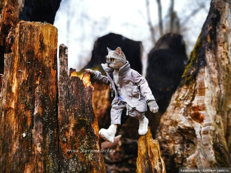 Котяра мартовский, апрельский, майский (фото 6)