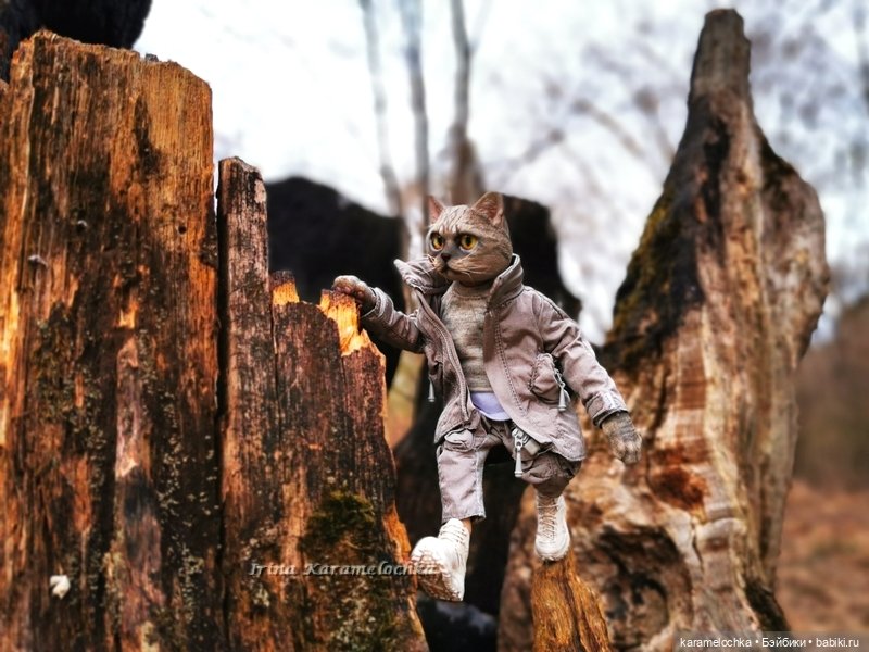 Котяра мартовский, апрельский, майский (фото 7)