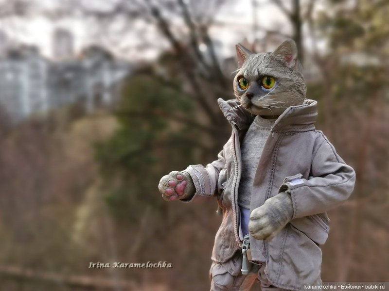 Котяра мартовский, апрельский, майский