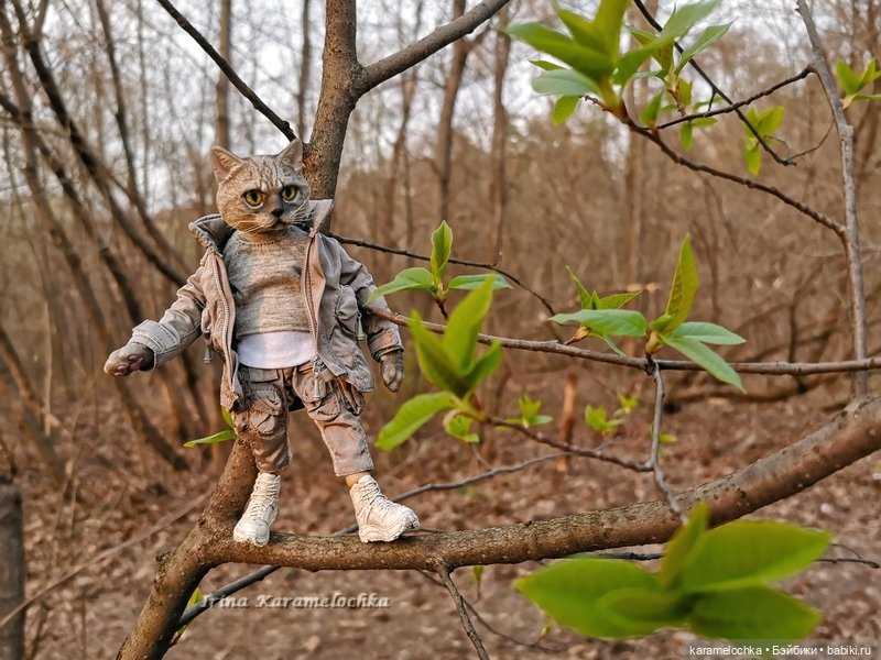 Котяра мартовский, апрельский, майский (фото 2)