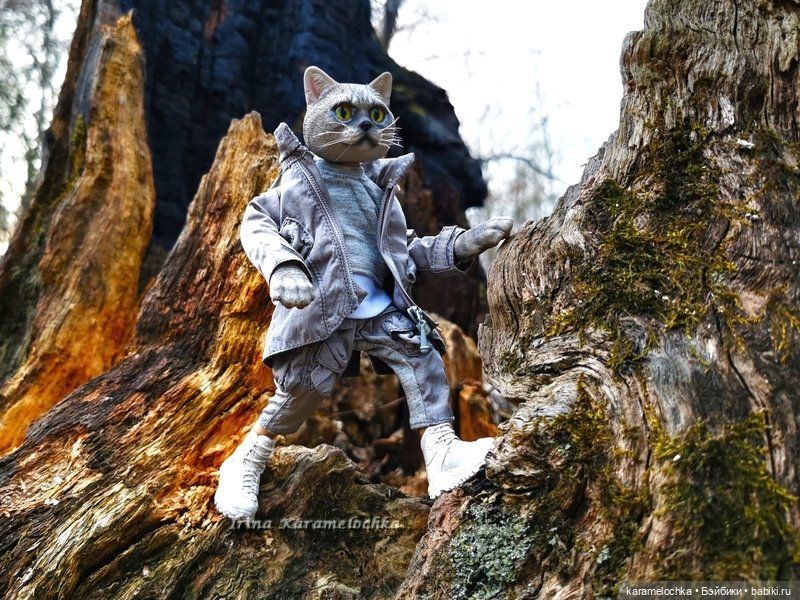 Котяра мартовский, апрельский, майский (фото 9)