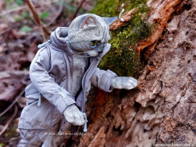 Котяра мартовский, апрельский, майский