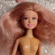 Опознана, спасибо!