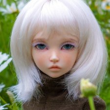 Снова Финляндия