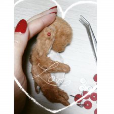 Зарождение новой жизни