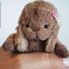 Заюшка тедди