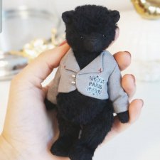 Новенький черныш