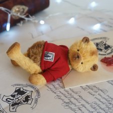 Солнечный мишка