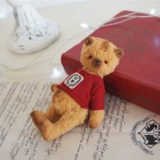 Солнечный мишка