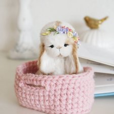 Зайка тедди