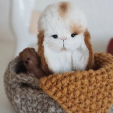 Зайка тедди