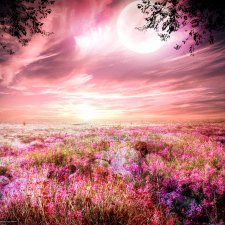 Маленький топик нежности и так любимой мной обельфячиваниЯ