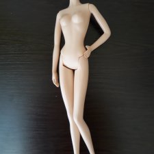 Модельное тело Барби  Водяновой