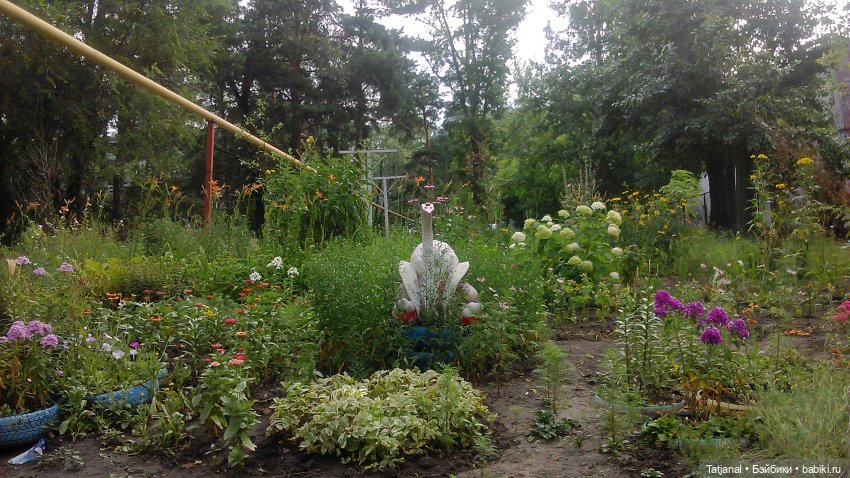 Кто сможет приютить этого мишку из СССР (фото 3)