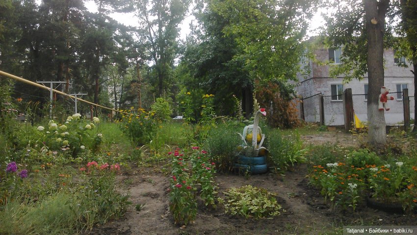 Кто сможет приютить этого мишку из СССР (фото 4)