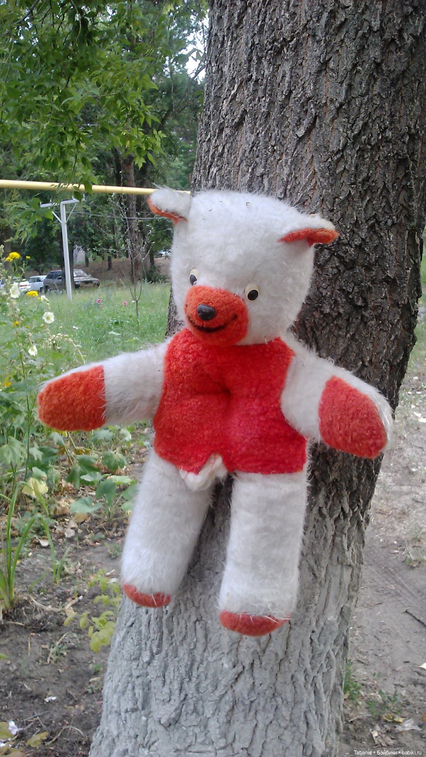 Кто сможет приютить этого мишку из СССР