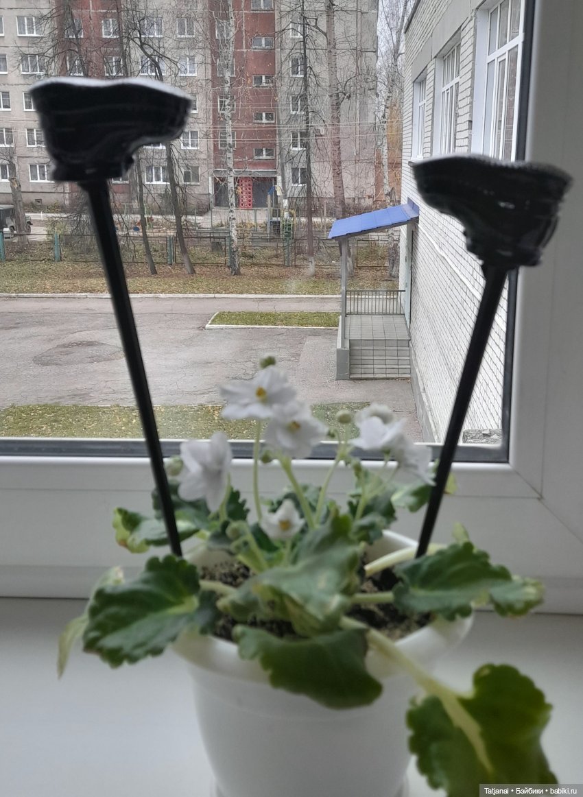 С Днем Рождения, Астрид — Российские куклы Весна (фото 6)