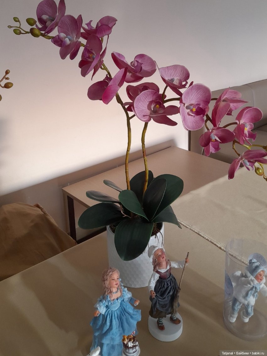 Прогулка к куклам. III городской фестиль коллекционирования