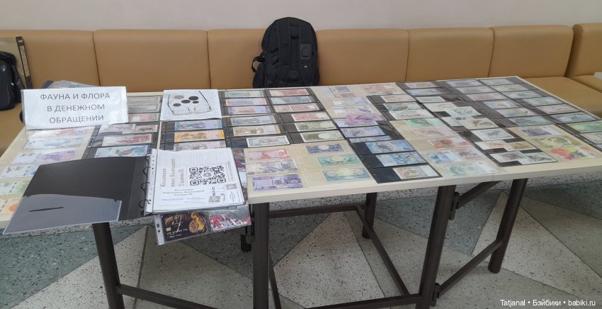 IV городской фестиваль коллекционирования. Часть про нумизматов, самовары, фотоаппараты и т.д (фото 5)