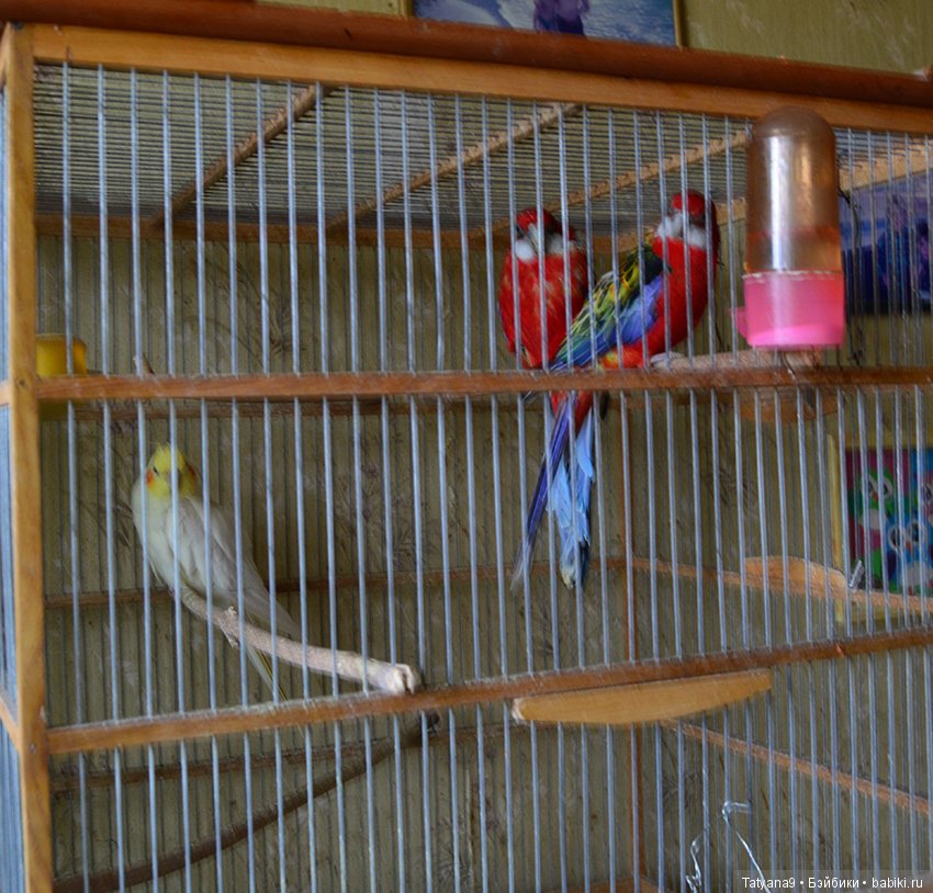 В тесноте, да не в обиде. Как куклы живут в нашей квартире