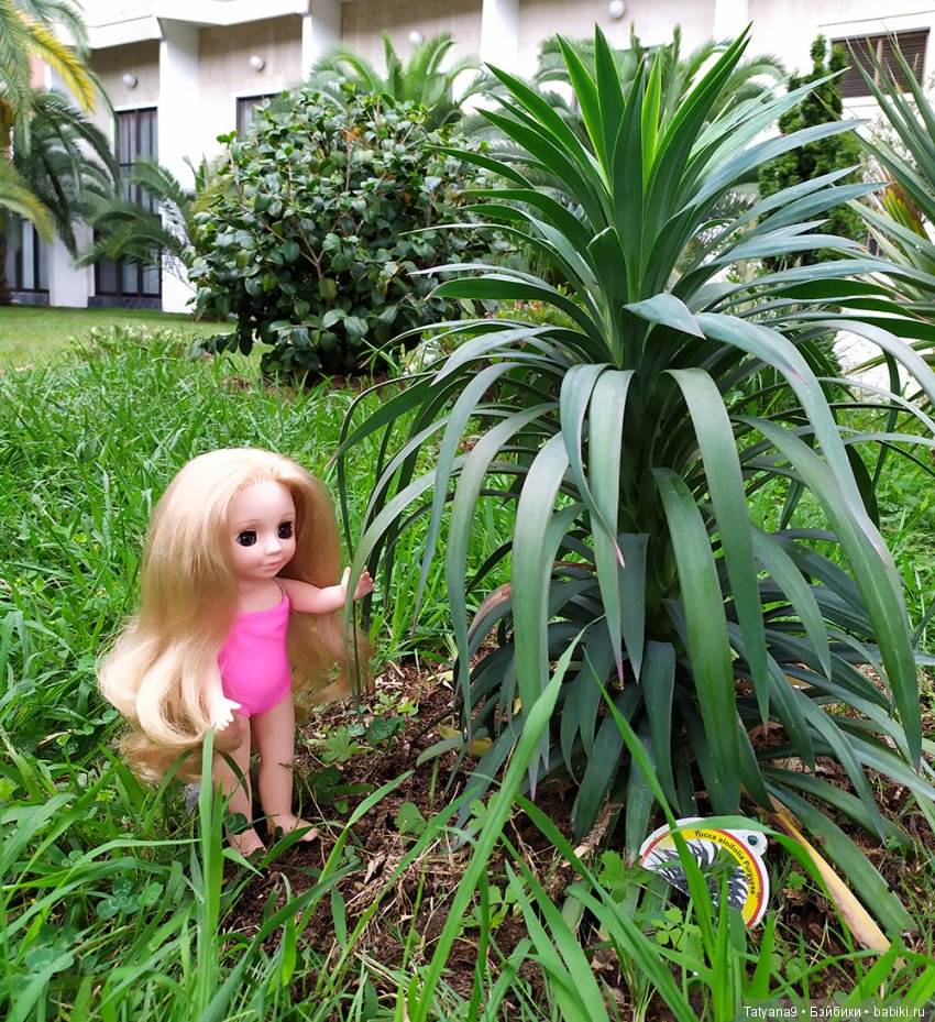 Русалочки на Черном море — Туризм и путешествия: фотоотчеты из поездок