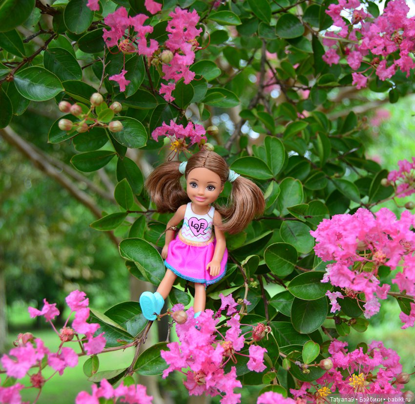 Русалочки на Черном море — Туризм и путешествия: фотоотчеты из поездок (фото 5)