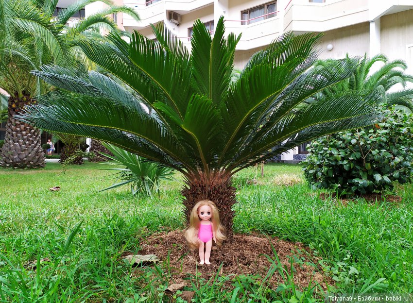 Русалочки на Черном море — Туризм и путешествия: фотоотчеты из поездок