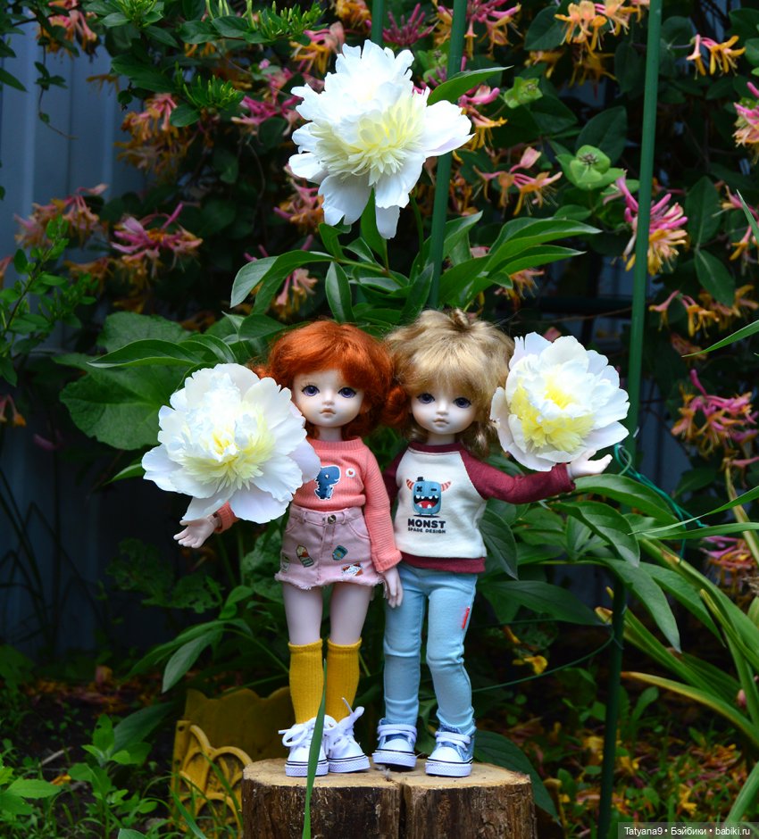 Мы с Миланой ходим парой — Куклы Xiaomi Monst (Сяоми) и Pipitom: шарнирные (фото 3)