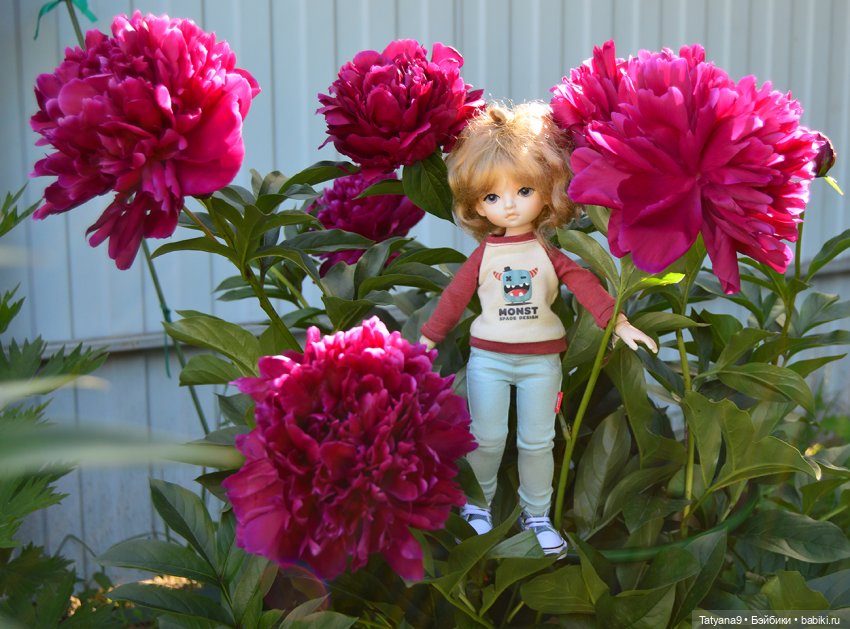 Мы с Миланой ходим парой — Куклы Xiaomi Monst (Сяоми) и Pipitom: шарнирные