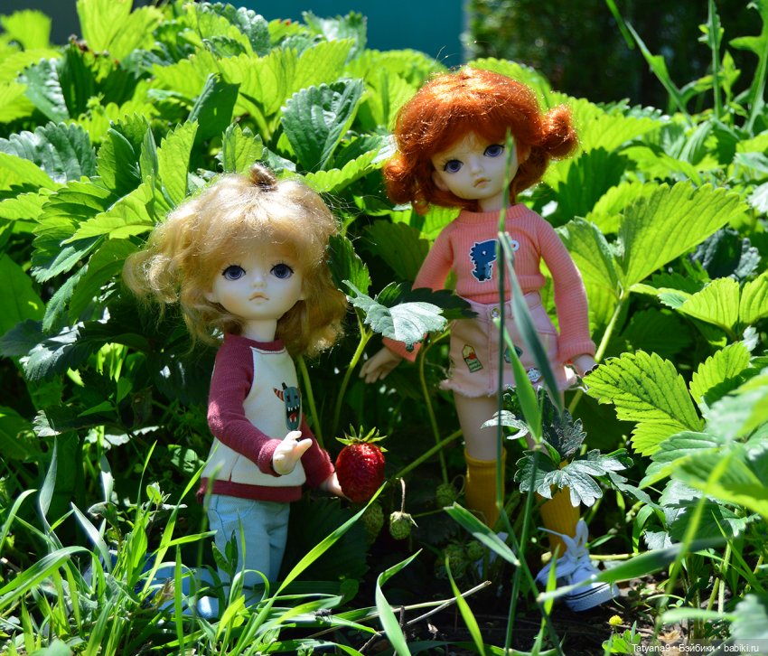 Мы с Миланой ходим парой — Куклы Xiaomi Monst (Сяоми) и Pipitom: шарнирные