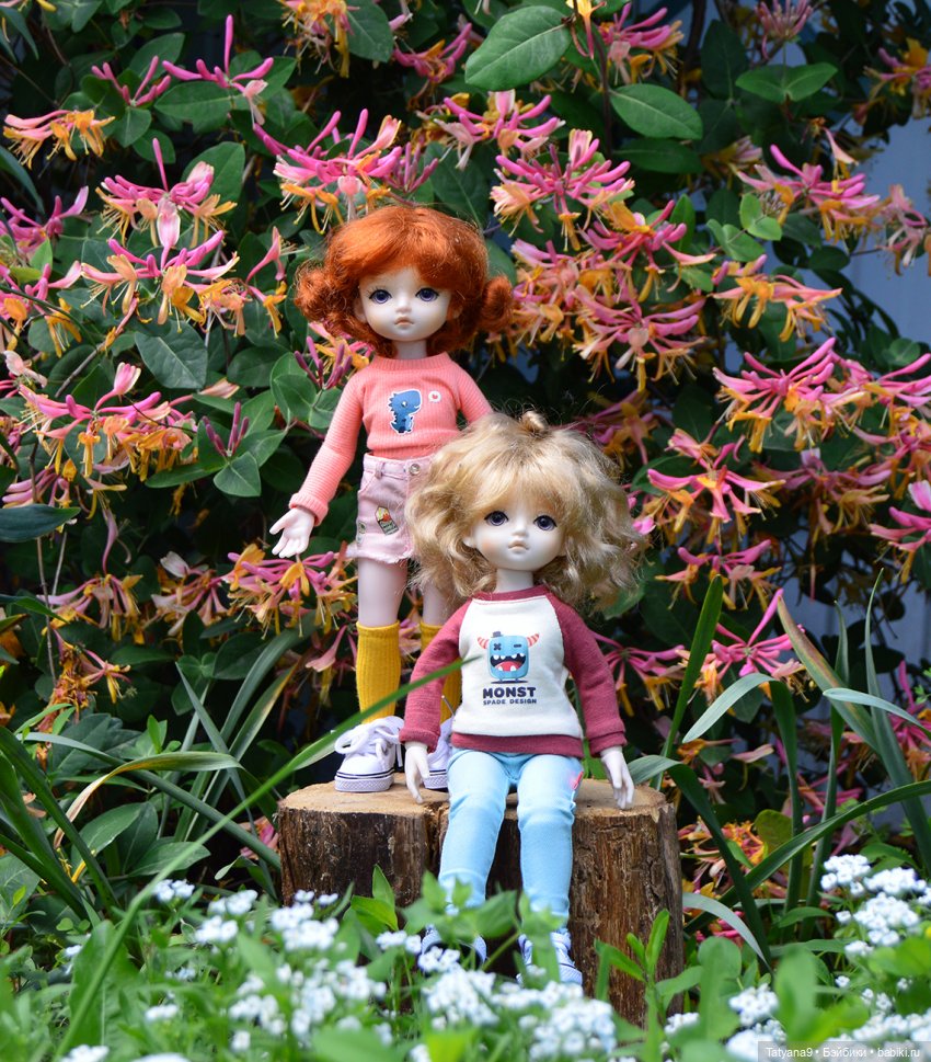 Мы с Миланой ходим парой — Куклы Xiaomi Monst (Сяоми) и Pipitom: шарнирные (фото 4)