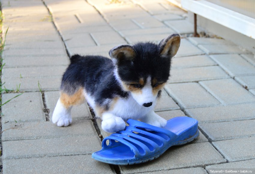 Малыш Корги — Игрушки в смешанной технике (мех и глина): Арт