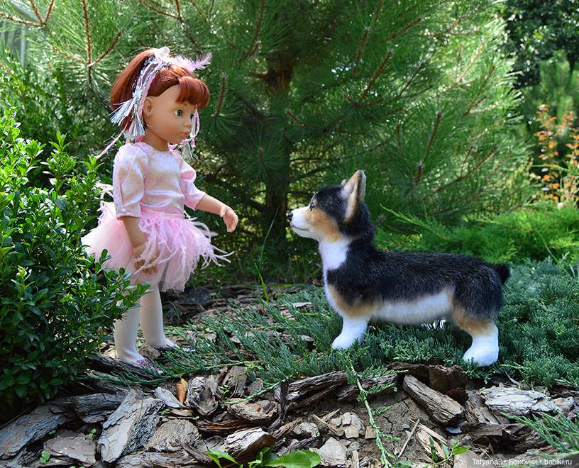 Малыш Корги — Игрушки в смешанной технике (мех и глина): Арт (фото 5)