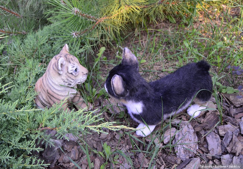 Малыш Корги — Игрушки в смешанной технике (мех и глина): Арт