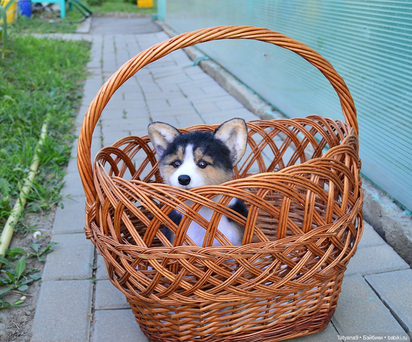 Малыш Корги — Игрушки в смешанной технике (мех и глина): Арт (фото 10)