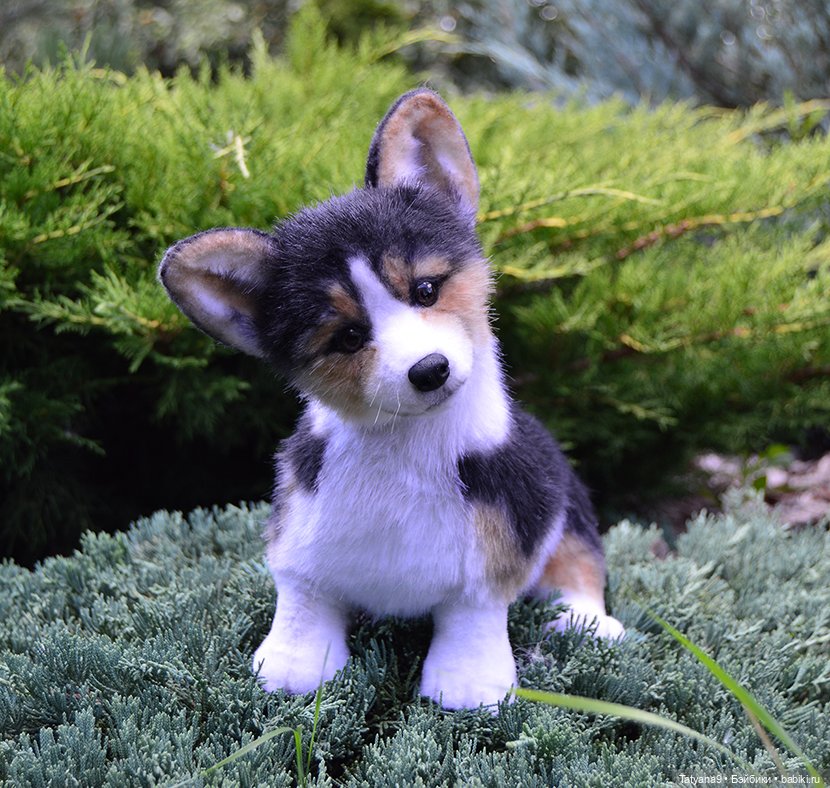 Малыш Корги — Игрушки в смешанной технике (мех и глина): Арт (фото 2)