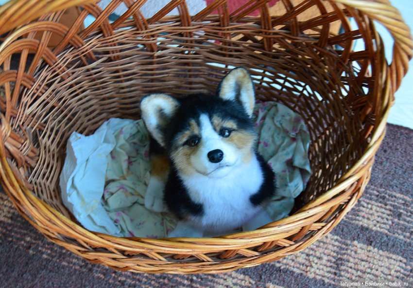 Малыш Корги — Игрушки в смешанной технике (мех и глина): Арт (фото 9)