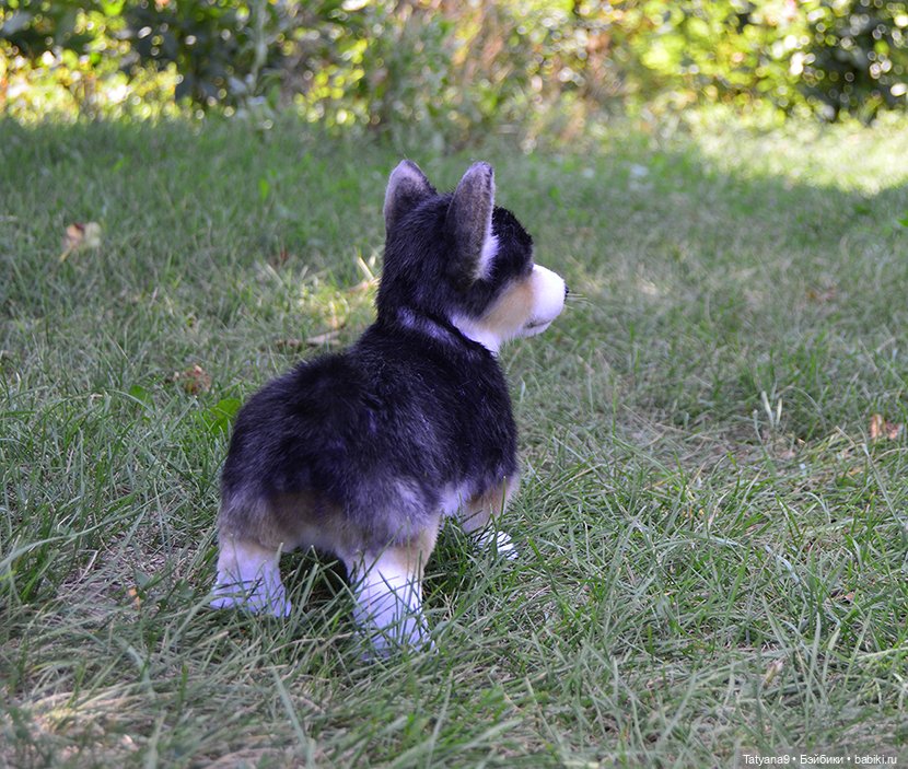 Малыш Корги — Игрушки в смешанной технике (мех и глина): Арт (фото 4)