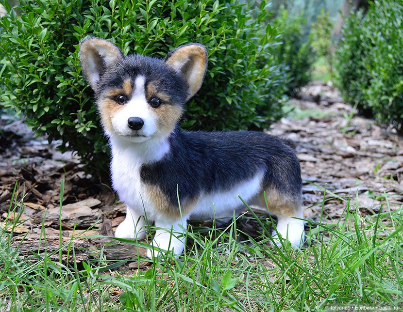 Малыш Корги — Игрушки в смешанной технике (мех и глина): Арт (фото 3)