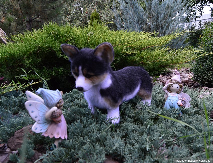 Малыш Корги — Игрушки в смешанной технике (мех и глина): Арт (фото 7)